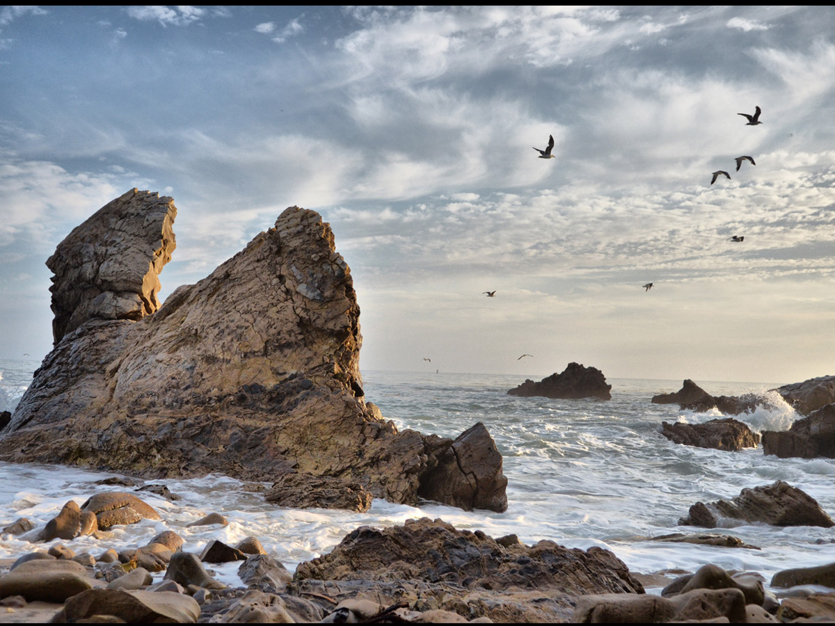 Newport Beach, 2008
