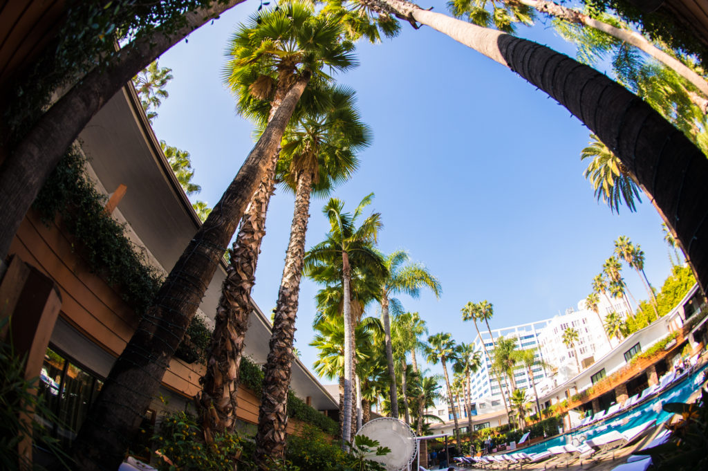 Roosevelt Hotel, Hollywood CA, 2017