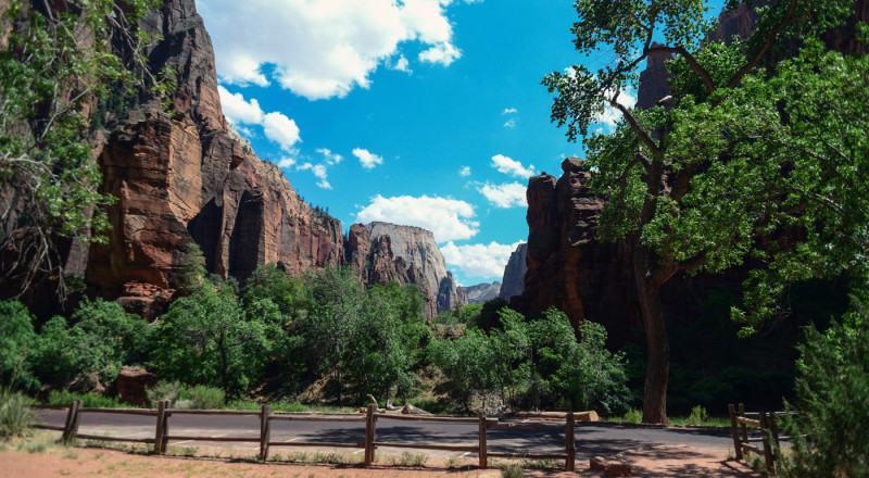 Zion National Park, 2011