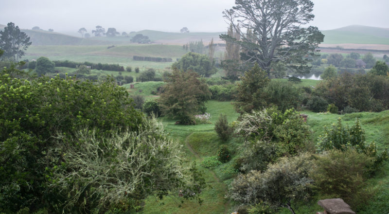 Auckland, New Zealand, 2017