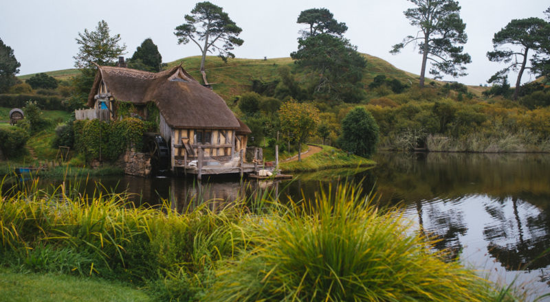 Auckland, New Zealand, 2017