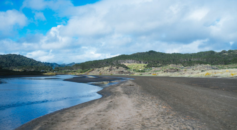Auckland, New Zealand, 2017