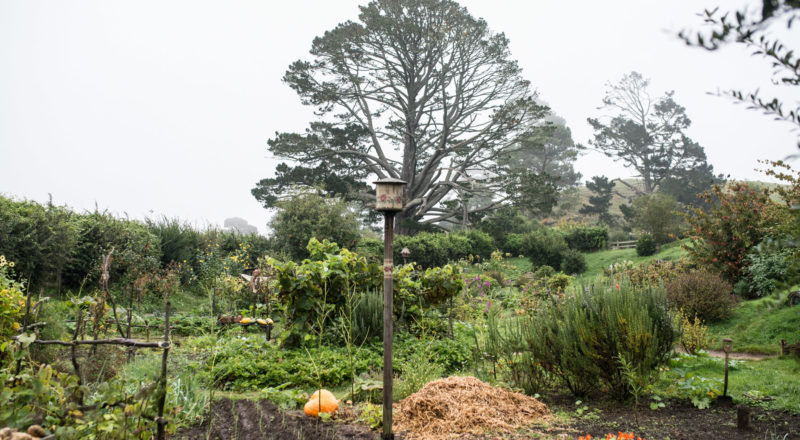 Auckland, New Zealand, 2017