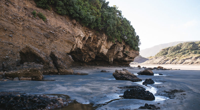 Auckland, New Zealand, 2017