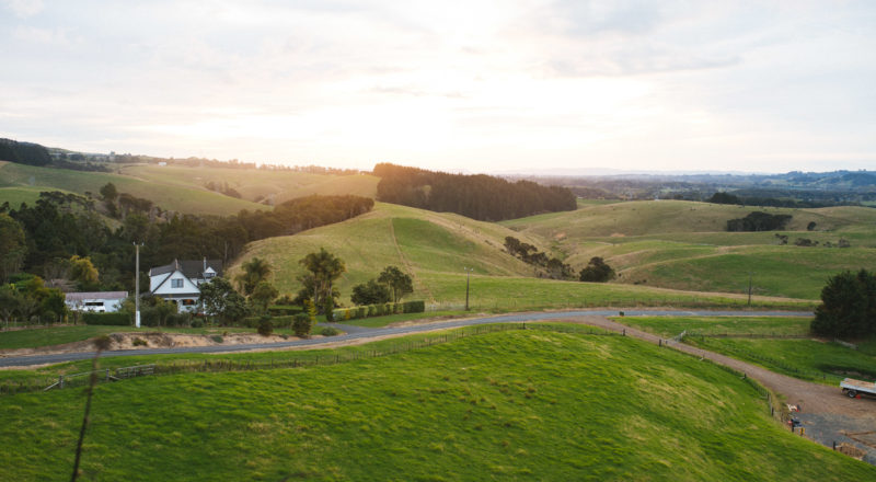 Auckland, New Zealand, 2017