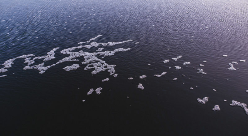 Auckland, New Zealand, 2017