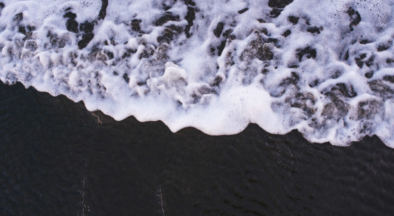 Auckland, New Zealand, 2017