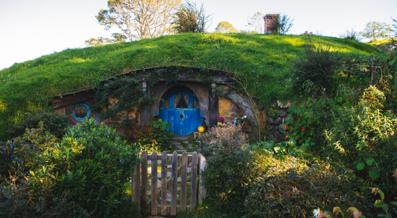 Auckland, New Zealand, 2016