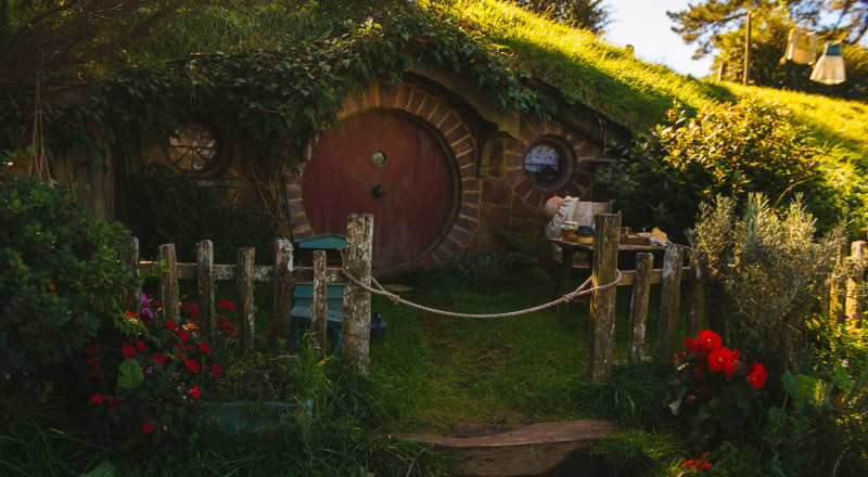 Auckland, New Zealand, 2016