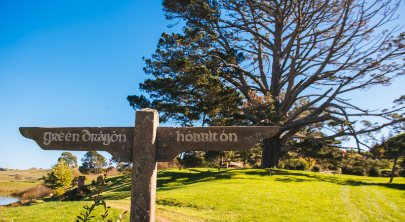 Auckland, New Zealand, 2016