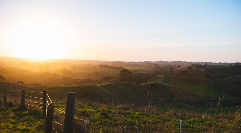 Auckland, New Zealand, 2016